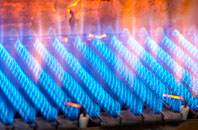 Bergh Apton gas fired boilers